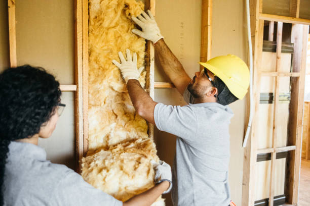 Best Wall Insulation Installation  in Robstown, TX