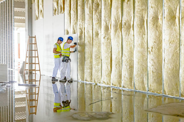 Best Insulation for New Construction  in Robstown, TX